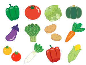 色んな種類の野菜
