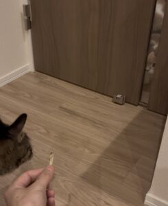ハラミとちまき